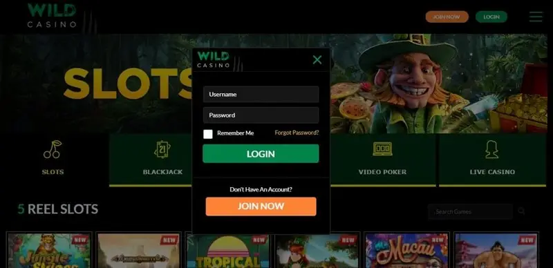 Wildzy login - Spelarens framtid är digital - hur mobilen förändrar underhållningen